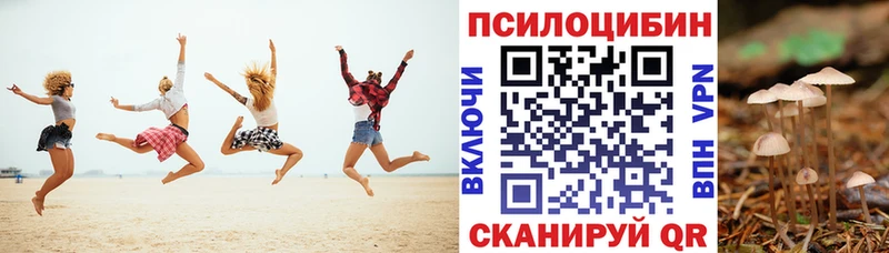 Галлюциногенные грибы Psilocybine cubensis  Купить  Новочебоксарск 